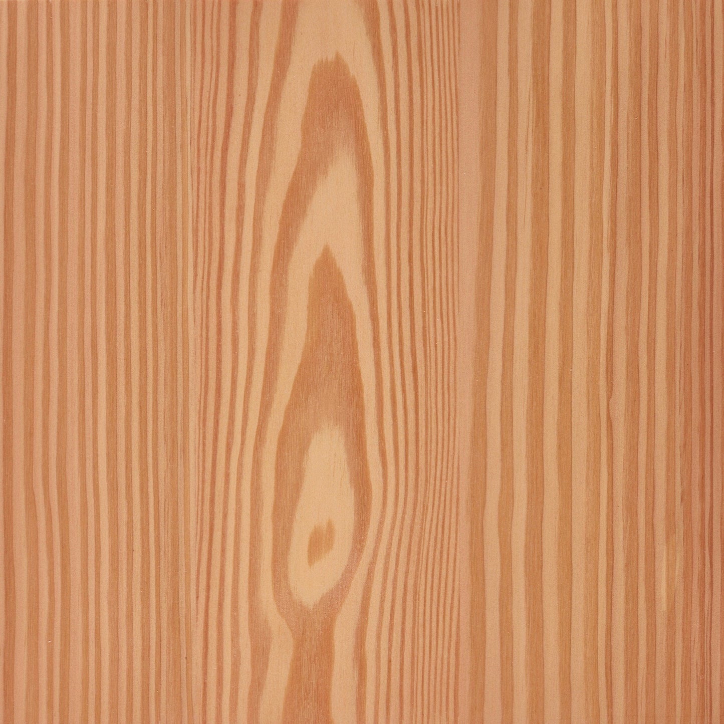 Larch
