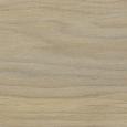 Cornsilk
