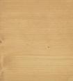 Teak